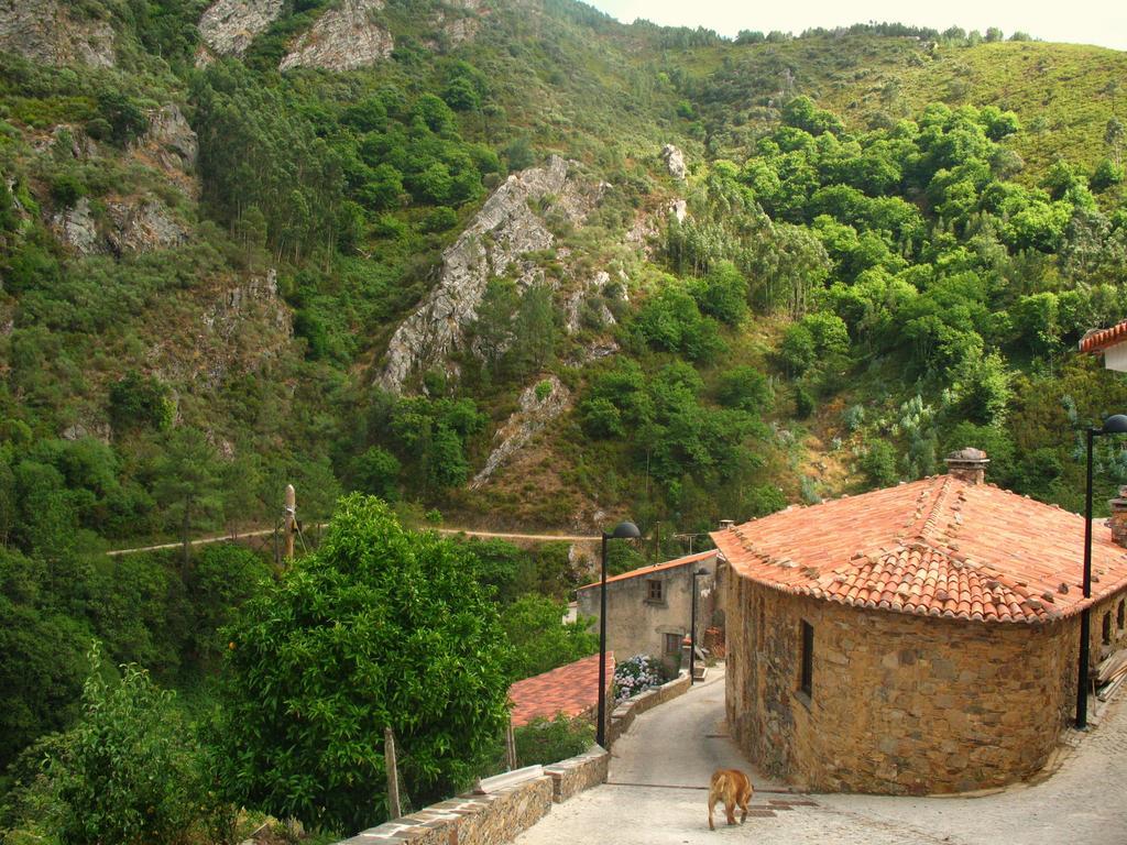 Holiday home Casa Da Cerejinha Gois